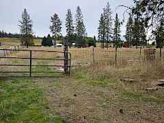 Pasture