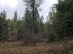 Homesite