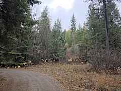Homesite 2