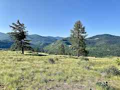 20 acres 4 sale Republic WA