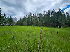 fogle-colville-wa-8acres (4)