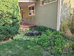 Front yard water fountain