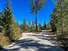 Driveway In