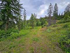 Driveway In
