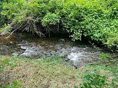 Creek Creek