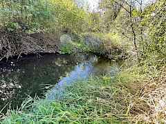 Toroda Creek is a strong year round creek - this is a 'swimming' hole for a summer refresher. There are fish in the creek too!