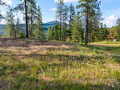 07-694 palmer-chewelah 07-694 palmer-chewelah