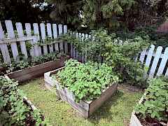 Strawberry & Raspberry Patch Strawberry & Raspberry Patch