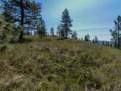 1622 Palmer Loop-4 1622 Palmer Loop-4