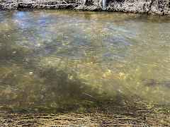 6 - Mill Creek 6 - Mill Creek