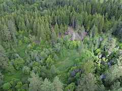2-DJI_0057 2-DJI_0057