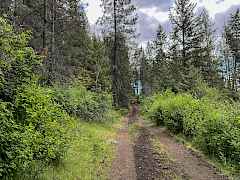 2-IMG_9126 2-IMG_9126