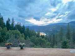 rl view