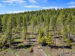 15-williams lake rd-20 acres-colville 15-williams lake rd-20 acres-colville