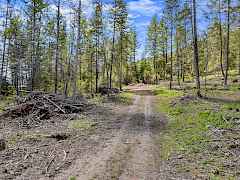 16-williams lake rd-20 acres-colville 16-williams lake rd-20 acres-colville