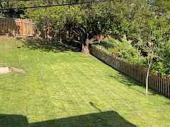 Nice yard areas Nice yard areas