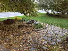 Front Yard NE Front Yard NE