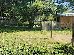 Fenced yard and new shed Fenced yard and new shed