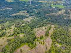 04-night hawk lane-94 acres-newport 04-night hawk lane-94 acres-newport