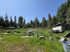 Land & Outbuilding Land & Outbuilding