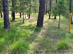 256 Eagle DR ph 4 256 Eagle DR ph 4