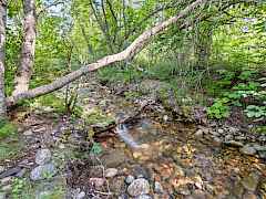 10-nancy creek rd-35 acres