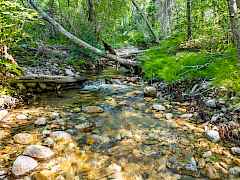 11-nancy creek rd-35 acres