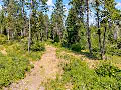 15-nancy creek rd-35 acres 15-nancy creek rd-35 acres