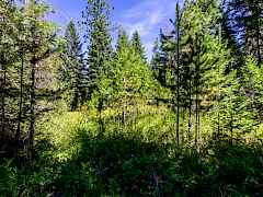 2443 Eagle Lambert Rd-16 2443 Eagle Lambert Rd-16