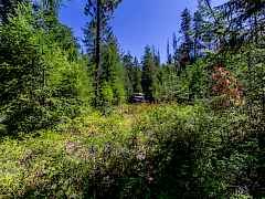 2443 Eagle Lambert Rd-17 2443 Eagle Lambert Rd-17