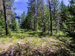 2443 Eagle Lambert Rd-18 2443 Eagle Lambert Rd-18