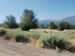 Land Land