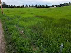 Old Ranch - Lot 1e