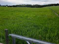 Old Ranch - Lot 2d