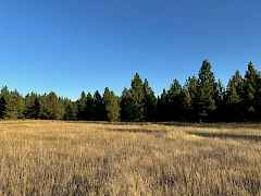 Large Open Spaces