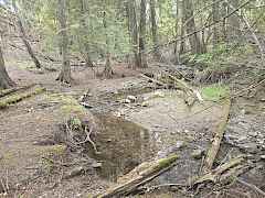 Stranger Creek