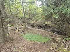 20250929_140918 (1)