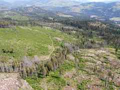 Established road system