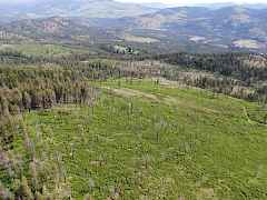 Bordered by USFS on all sides