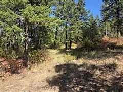 202615292-9eddd739-6be6-43b7-a598-cfe38d