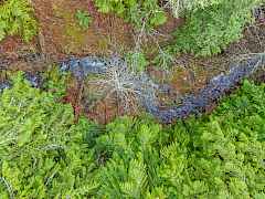 Aerial of Cole Creek