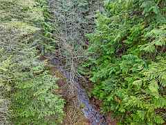 Aerial of Cole Creek
