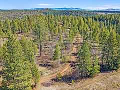 06-Springdale-Parcel-2048905