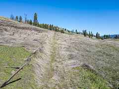 07-inchelium parcels-169 acres