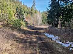 Catted Road 2