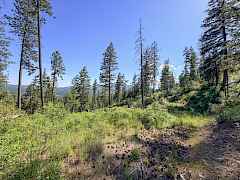 5-IMG_4917