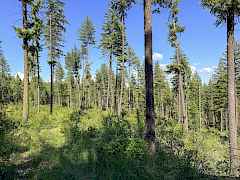 6-IMG_4918
