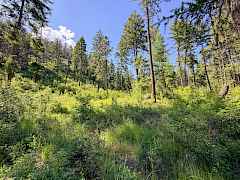4-IMG_4943