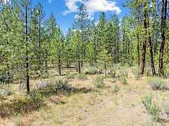 12-parcel-2-fruitland-wa