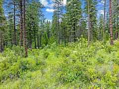 14-bussard lake rd-parcel